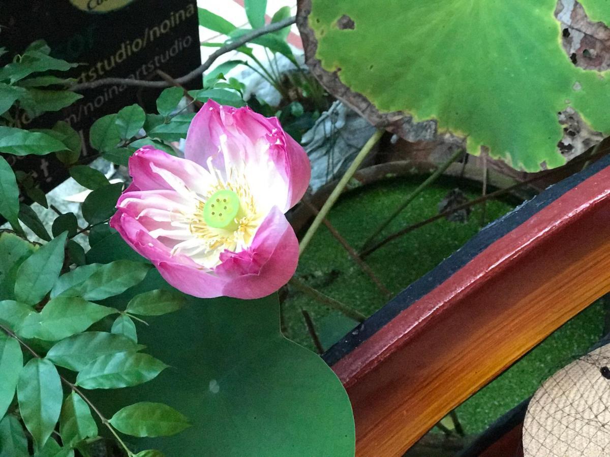 Homestay Meechok Chiang Mai